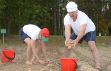 президент белоруссии убирает картошку 2