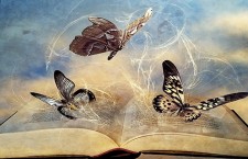 Бабочки над книгой